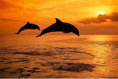 《暗黑破坏神3》新版本全平台上线 Xbox Series X增加真4K支持